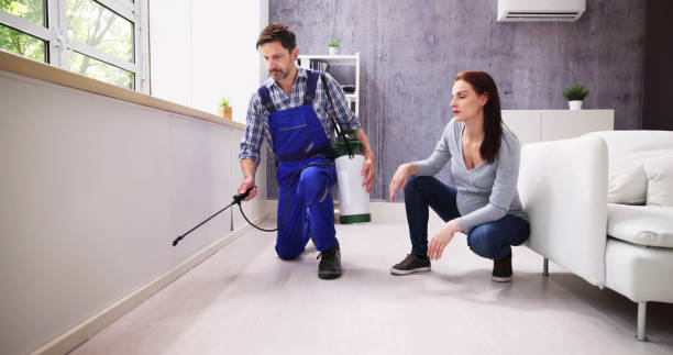 Professional Pest Control in Haines City, FL